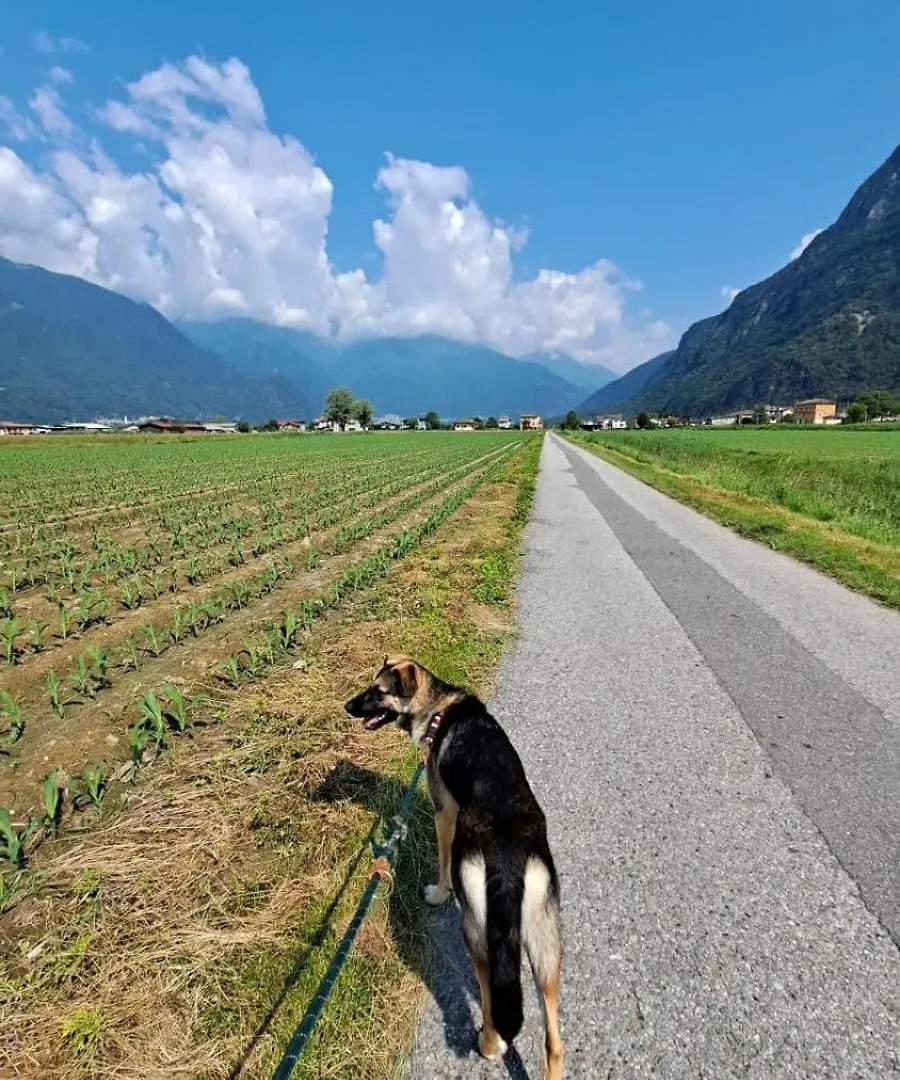 Apartment In Somaggia - Casacamillo Riva  Riva (Sondrio)